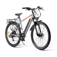 Электровелосипед Eltreco Gelbert Ran Star 2 PRO / Eltreco XT 850 Pro Серый