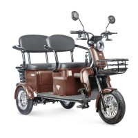 Электротрицикл Rutrike Караван Коричневый