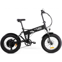 Электровелосипед ELBIKE MATRIX VIP 13 