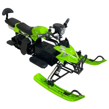 Электроснегокат Yasmand Arctic Wolf 1000W 48V 20Ah зеленый